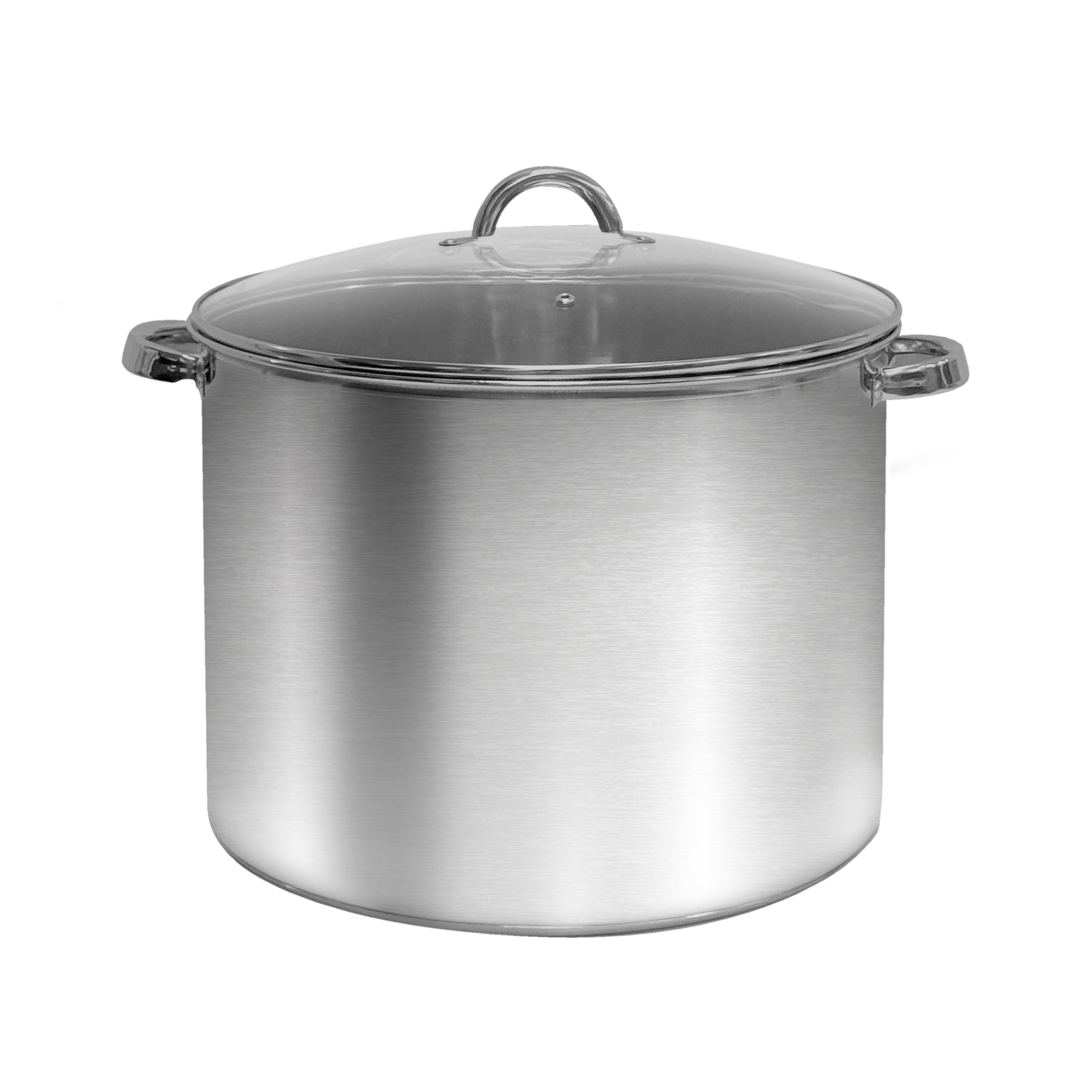 Ember & Sear Stainless Steel Induction Stock Pot - Shop Stock pots ...