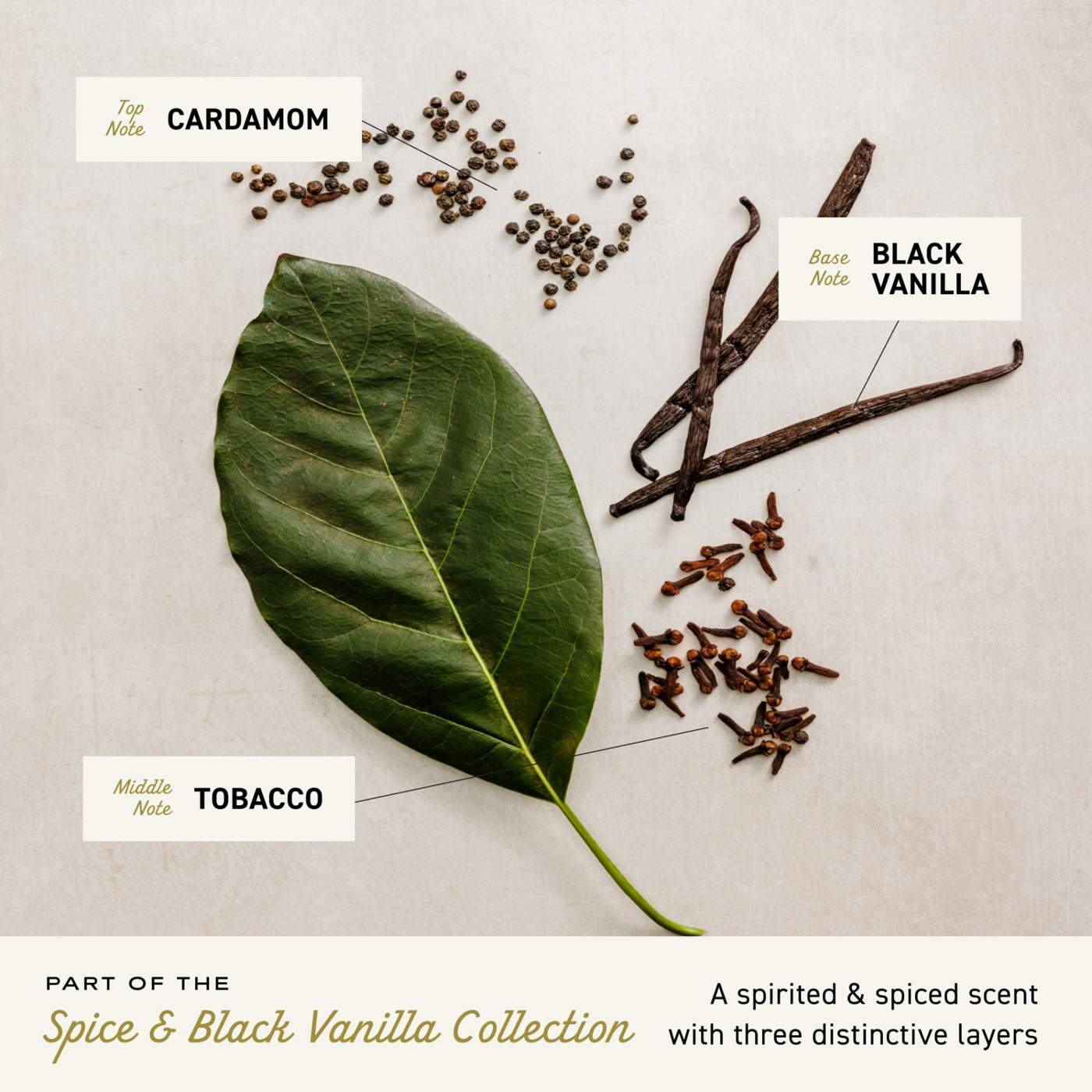 Cremo Men's Spray Cologne - Spice & Black Vanilla; image 8 of 9