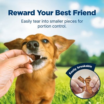 Blue Buffalo Nudges Grillers Dog Treats - Salmon