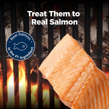 Blue Buffalo Nudges Grillers Dog Treats - Salmon