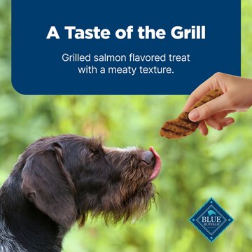 Blue Buffalo Nudges Grillers Dog Treats - Salmon