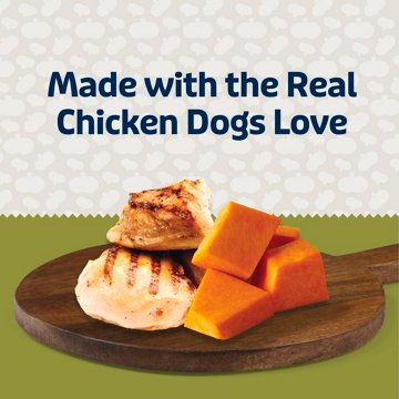 Blue Buffalo Bits + Digestion & Immune Support Dog Treat - Chicken