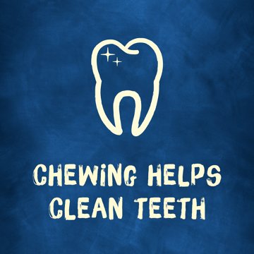 Busy Purina Bone Mini Dog Treats, 35 oz