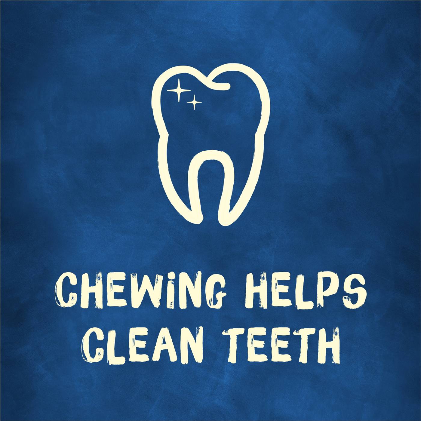 Busy Purina Bone Mini Dog Treats; image 5 of 8