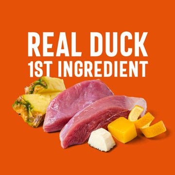 Heritage Ranch by H-E-B Tropical Super Food Blend  Dog Treats - Mango Coconut Duck Jerky, 5 oz