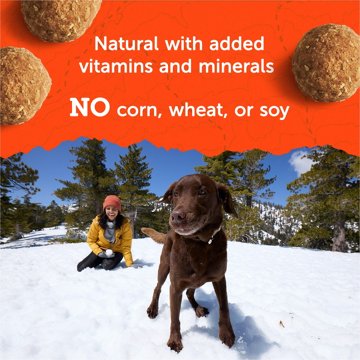 Zuke's Adventure Bites Dog Treats - Chicken & Pumpkin