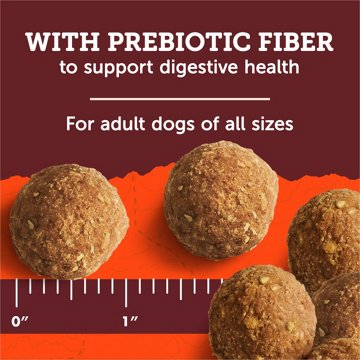 Zuke's Adventure Bites Dog Treats - Chicken & Pumpkin