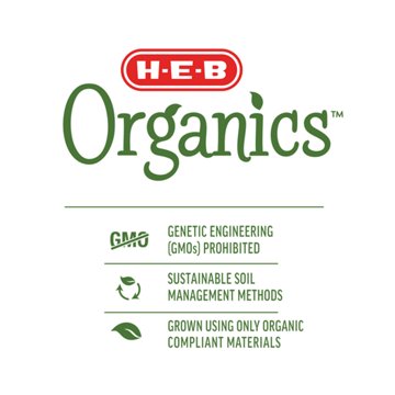 H-E-B Organics Pineapple Ginger Cold-Pressed Juice