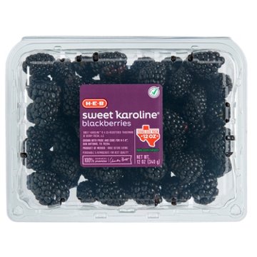 H-E-B Fresh Sweet Karoline Blackberries, 12 oz