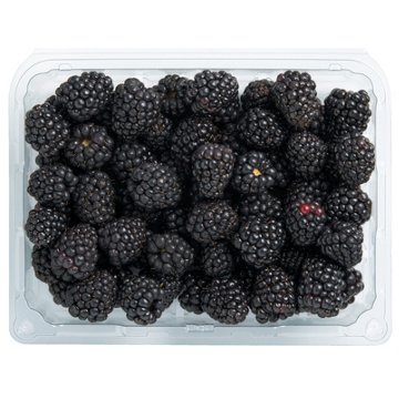 H-E-B Fresh Sweet Karoline Blackberries, 12 oz