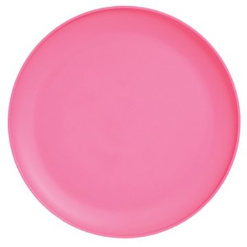 Destination Holiday 10" Matte Pink Plate