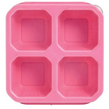 Destination Holiday Divided Bento Snack Box & Spork - Pink