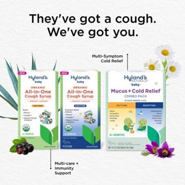 Hyland's Baby Organic All-In-One Cough Syrup - Daytime