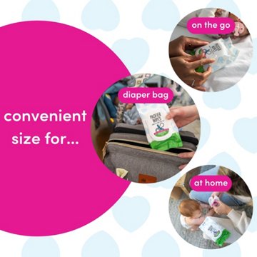 Dapple Baby Pacifier Wipes