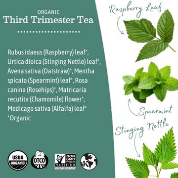 Earth Mama Organic Third Trimester Tea, 16 ct