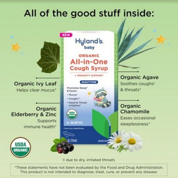 Hyland's Baby Organic All-In-One Cough Syrup - Nighttime