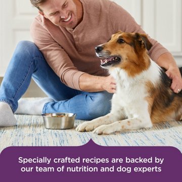 Rachael Ray Nutrish Hearty Recipes Wet Dog Food Variety Pack