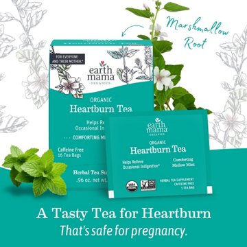 Earth Mama Organic Heartburn Tea, 16 ct