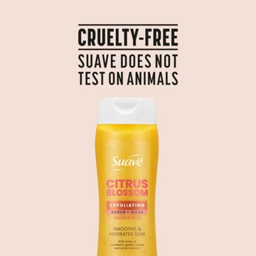 Suave Exfoliating Scrub & Body Wash - Citrus Blossom