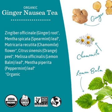 Earth Mama Organic Ginger Nausea Tea