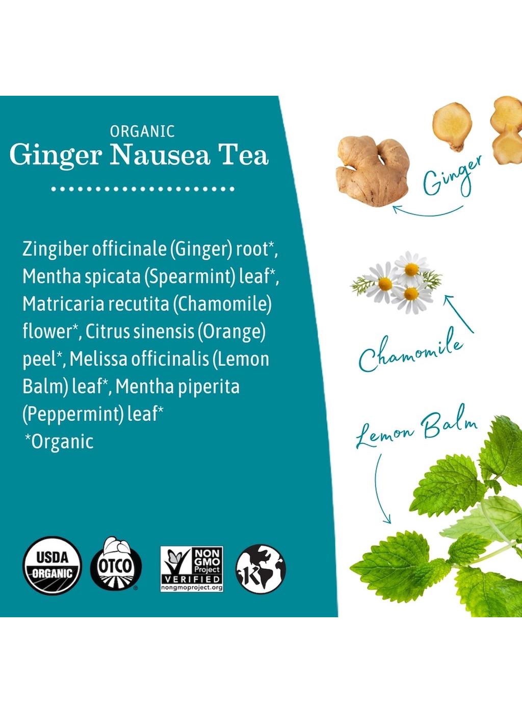 Earth Mama Organic Ginger Nausea Tea; image 5 of 10