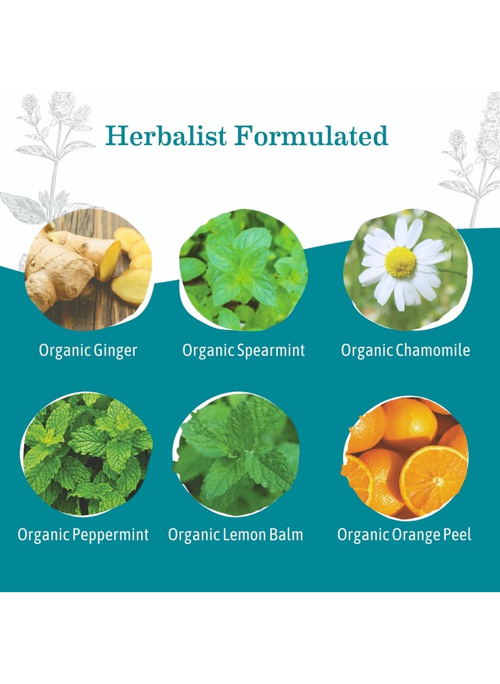 Earth Mama Organic Ginger Nausea Tea; image 6 of 10