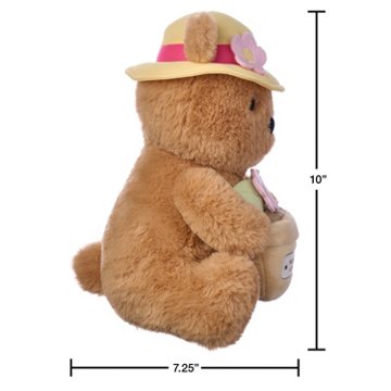 American Greetings Mother's Day Plush Garden Bear with Hat, 10". x 7.25"