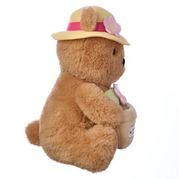American Greetings Mother's Day Plush Garden Bear with Hat, 10". x 7.25"