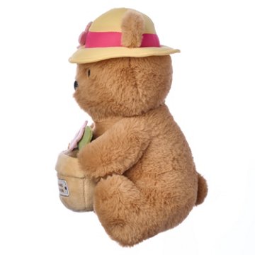 American Greetings Mother's Day Plush Garden Bear with Hat, 10". x 7.25"