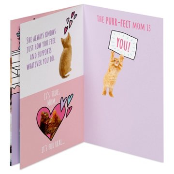 American Greetings Mother's Day Card for Mom - Kitten Book, 8.25" x 5.375"