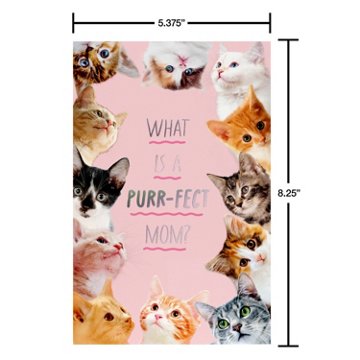 American Greetings Mother's Day Card for Mom - Kitten Book, 8.25" x 5.375"