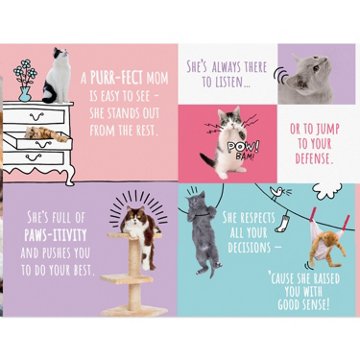 American Greetings Mother's Day Card for Mom - Kitten Book, 8.25" x 5.375"