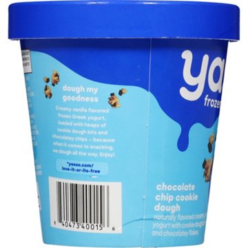 Yasso Frozen Greek Yogurt - Chocolate Chip Cookie Dough, 14 oz