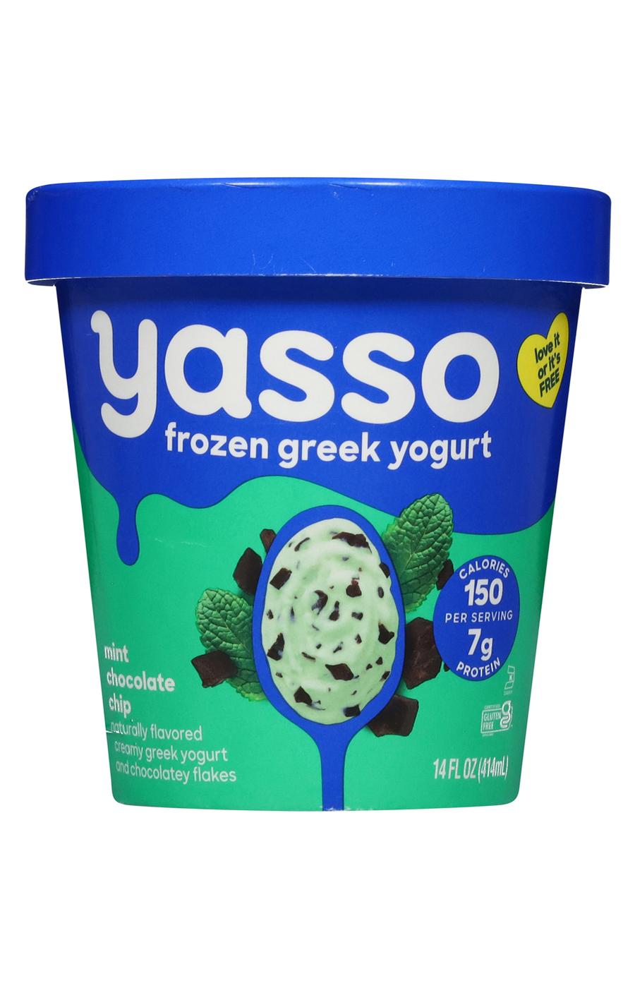 Yasso Frozen Greek Yogurt - Mint Chocolate Chip; image 1 of 4