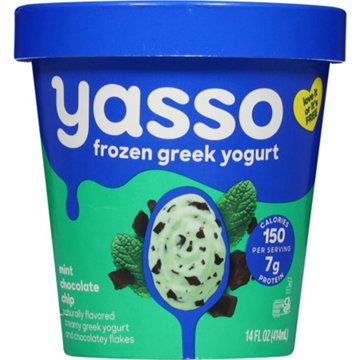 Yasso Frozen Greek Yogurt - Mint Chocolate Chip, 14 oz