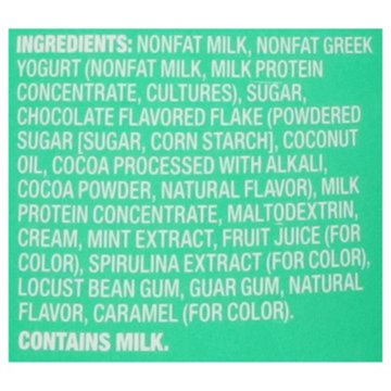 Yasso Frozen Greek Yogurt - Mint Chocolate Chip, 14 oz