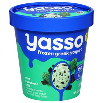 Yasso Frozen Greek Yogurt - Mint Chocolate Chip, 14 oz