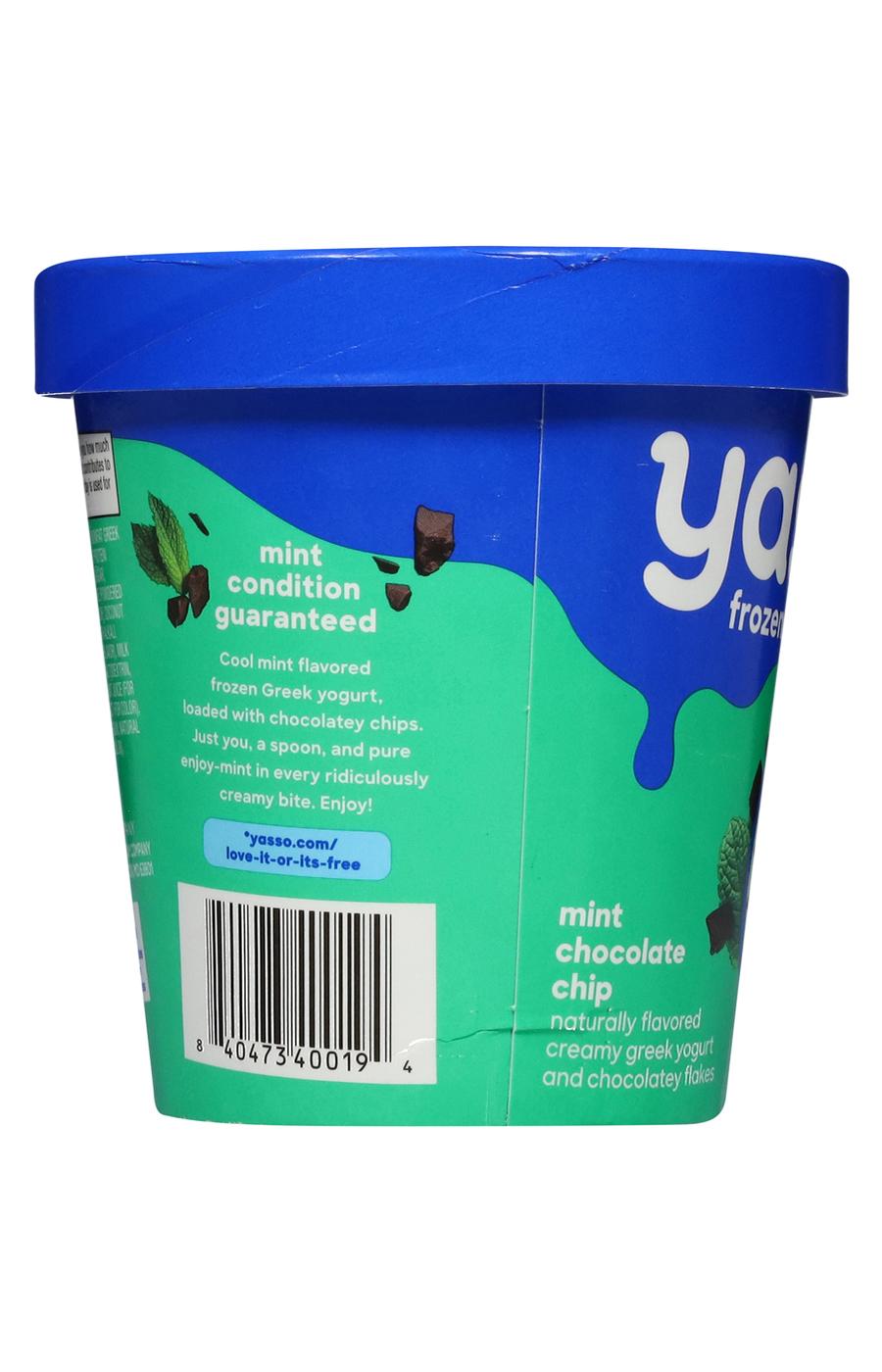 Yasso Frozen Greek Yogurt - Mint Chocolate Chip; image 4 of 4