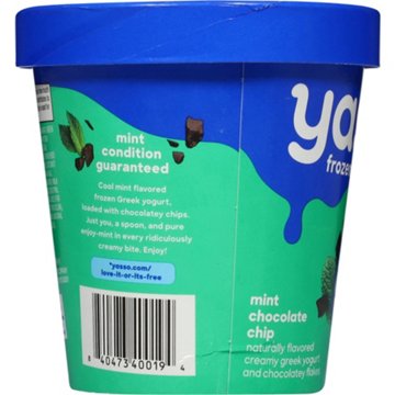 Yasso Frozen Greek Yogurt - Mint Chocolate Chip, 14 oz