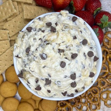 Taste of the South Chocolate Chip Cookie Dough Dip, 10 oz