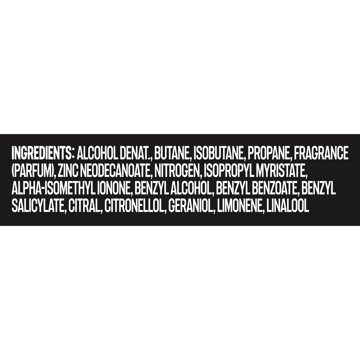AXE 48 Hr Aluminum Free Deodorant Body Spray - Black