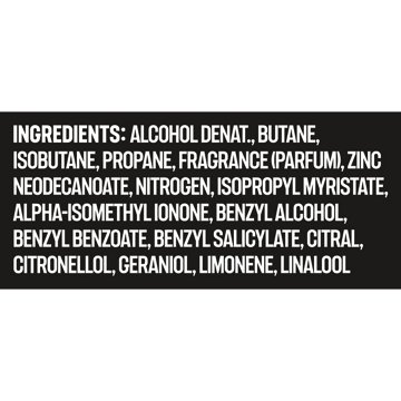 AXE 48 Hr Aluminum Free Deodorant Body Spray - Black