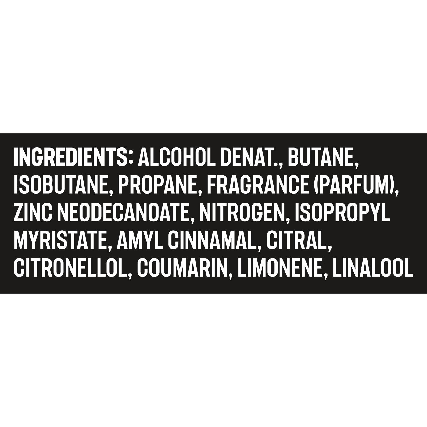 AXE 48 Hr Aluminum Free Deodorant Body Spray - Dark Temptation; image 4 of 4