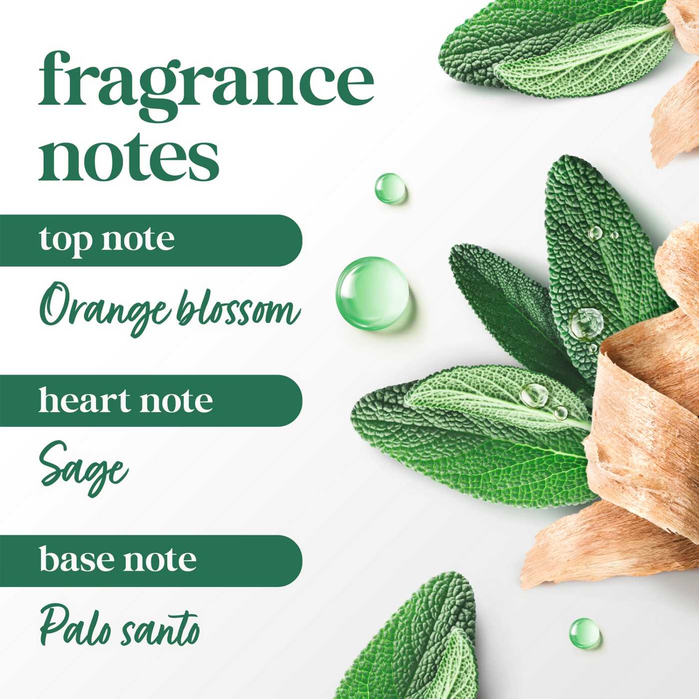 Dove Limited Edition Fifa Body Scrub - Palo Santo & Sage Oil; image 3 of 3