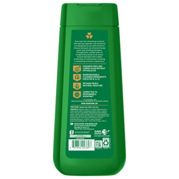 Irish Spring Men's 5-in-1 Body Wash - Sea Salt & Cedarwood
