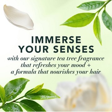 Herbal Essence Clarifying Tea Tree Shampoo