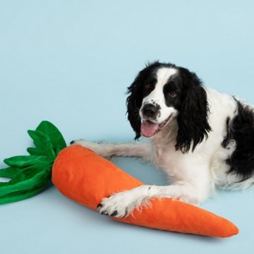 Gnawsome Mega Plush Carrot Dog Toy