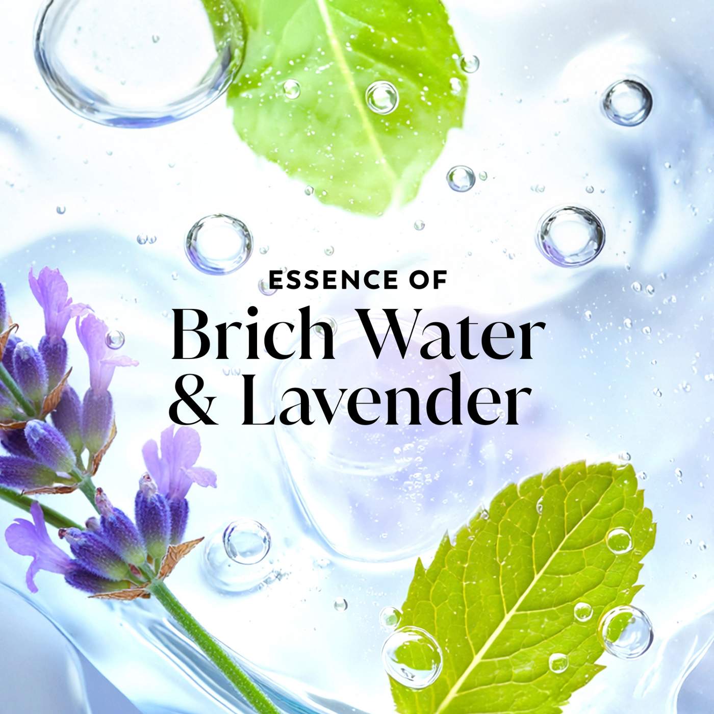 Olay Fresh Radiance Body Wash - Birch Water & Lavender; image 3 of 8