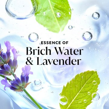 Olay Fresh Radiance Body Wash - Birch Water & Lavender