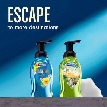 Softsoap Foaming Hand Soap - Hawaiian Luau, 9 oz